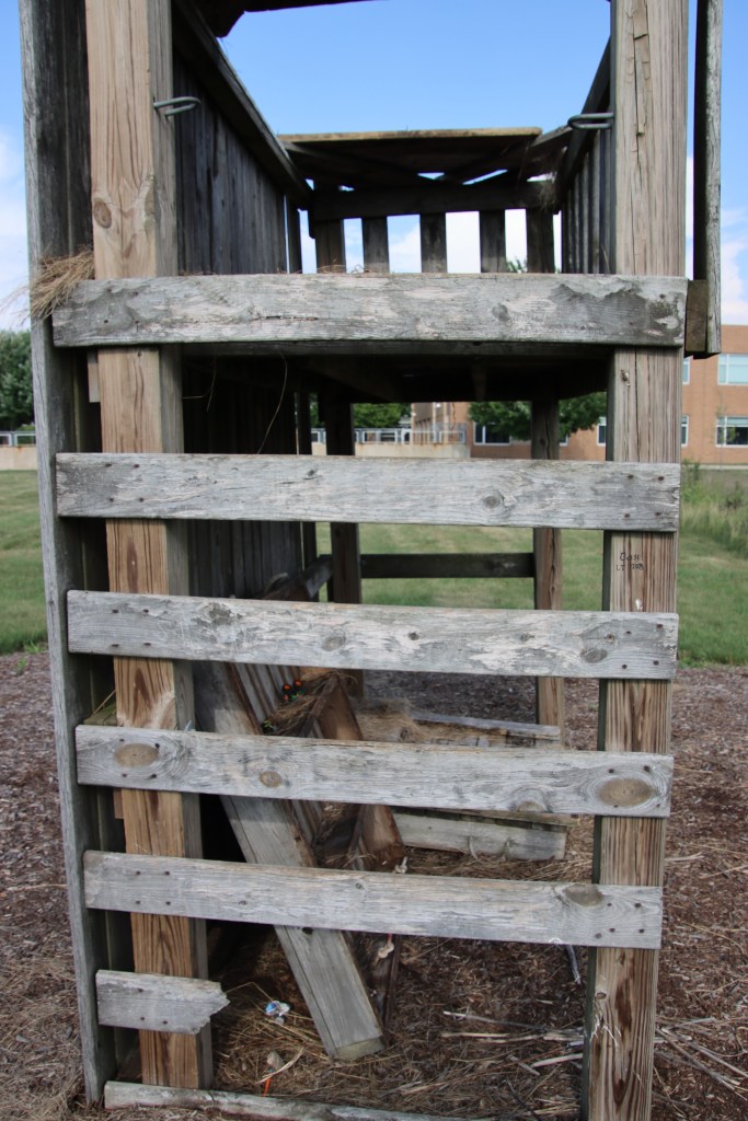 Cary Junior High School - Cary Community Consolidated School District 26