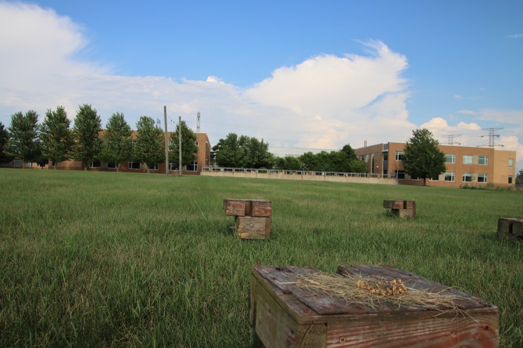 Cary Junior High School - Cary Community Consolidated School District 26