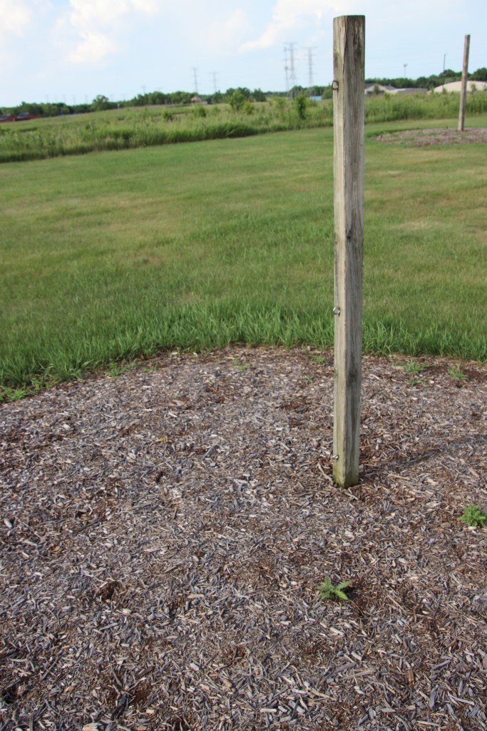 Cary Junior High School - Cary Community Consolidated School District 26