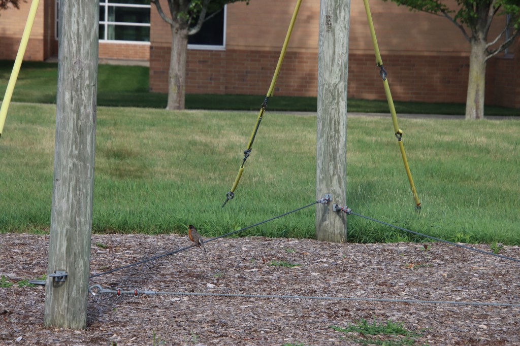 Cary Junior High School - Cary Community Consolidated School District 26