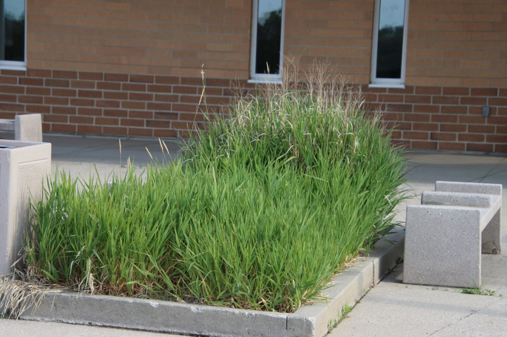 Cary Junior High School - Cary Community Consolidated School District 26