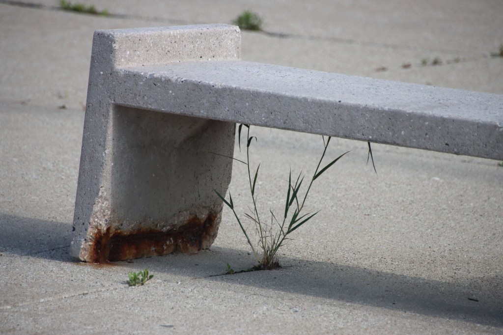 Cary Junior High School - Cary Community Consolidated School District 26