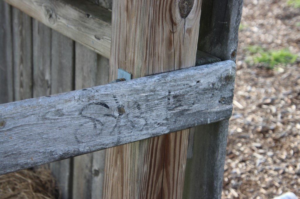 Cary Junior High School - Cary Community Consolidated School District 26